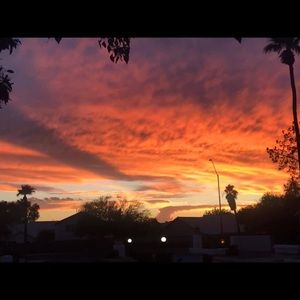 Meet your Posher, Zane